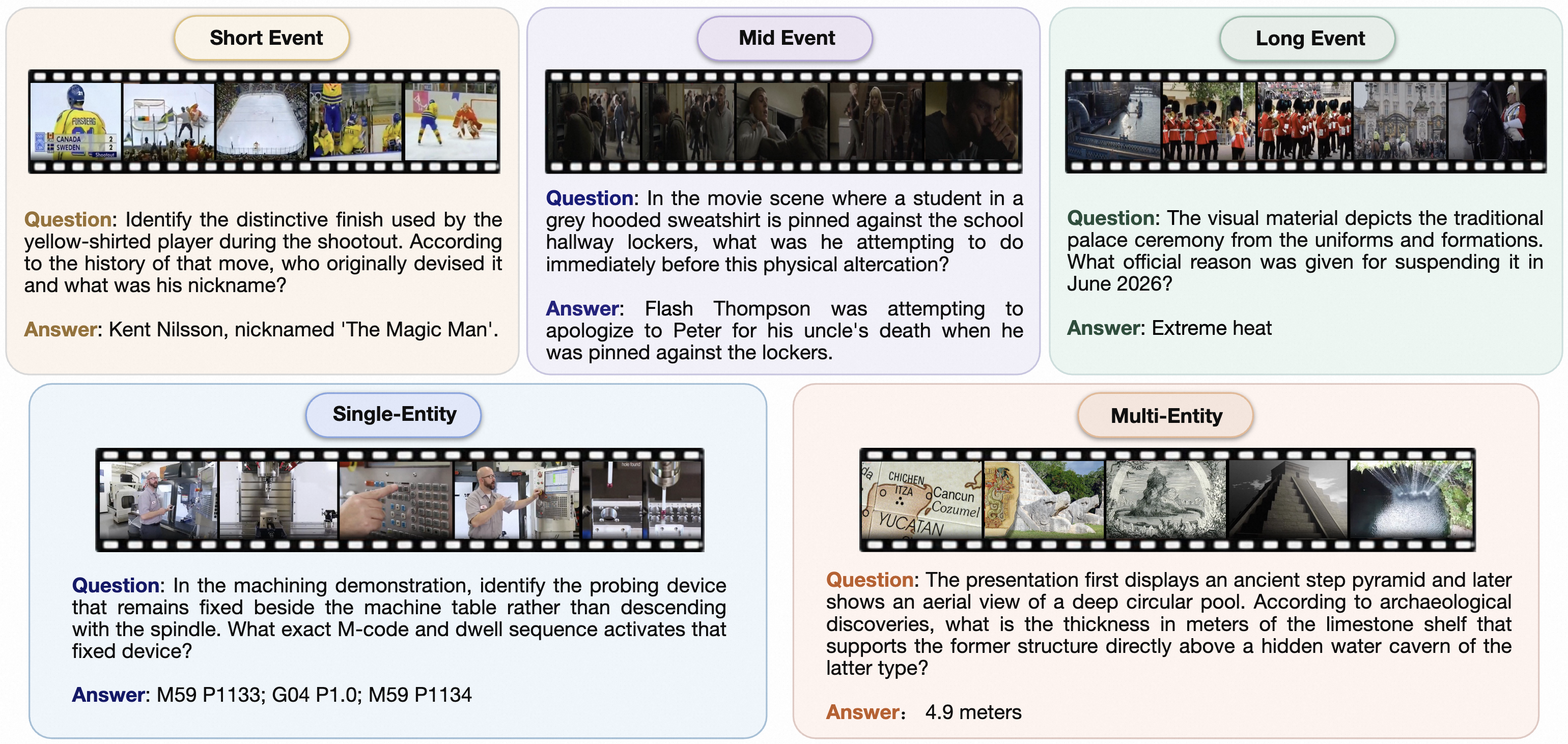 VDR-EE question examples